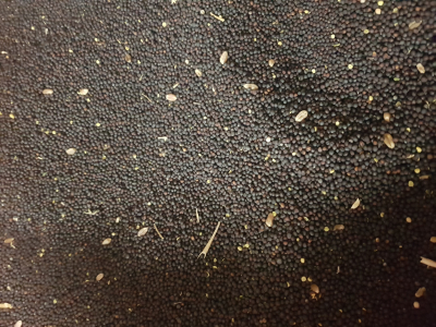 6315f4c2704c8.jpg